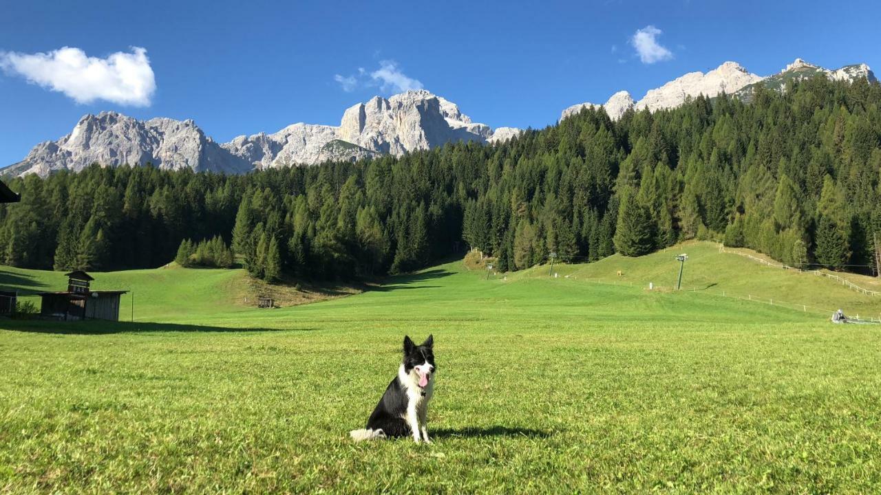 Apartmán Civico 10 Candide Exteriér fotografie